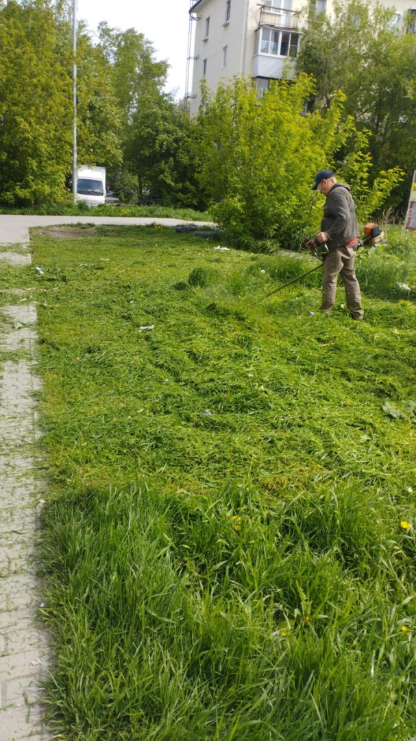 IMG-20250527-WA0003.jpg
